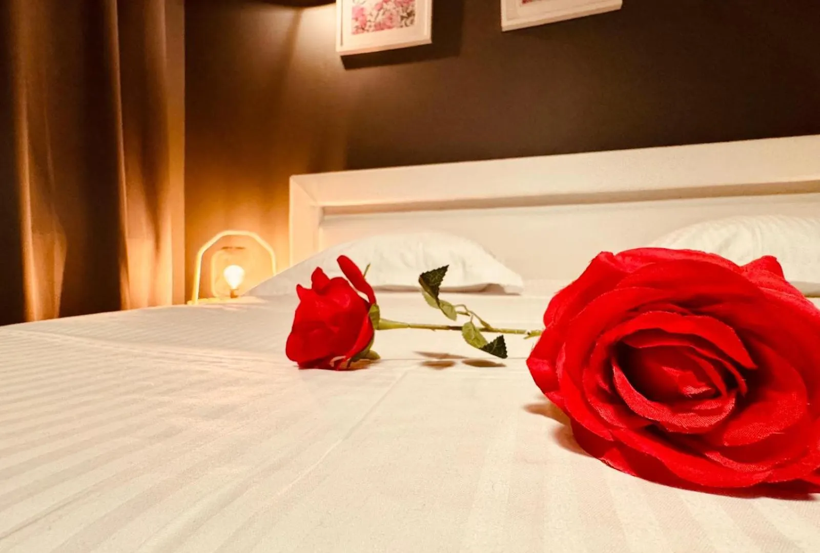 B&B Het Consulaat Brugge Bed & Breakfast